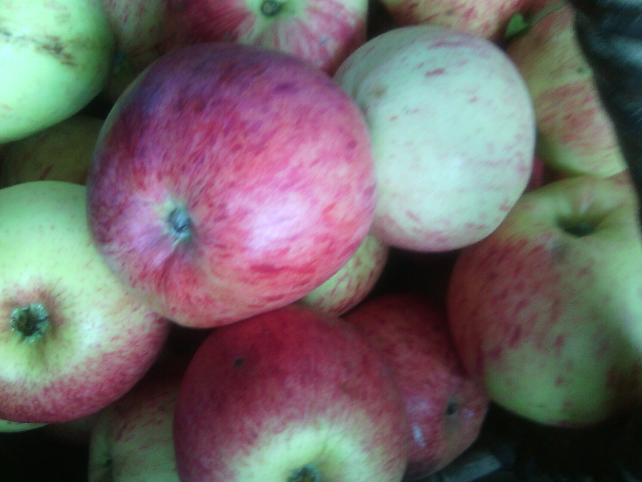 Лето припасиха, осень собериха, а зима подбериха.