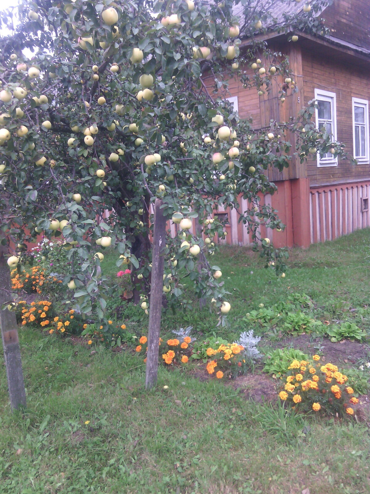 Лето припасиха, осень собериха, а зима подбериха.
