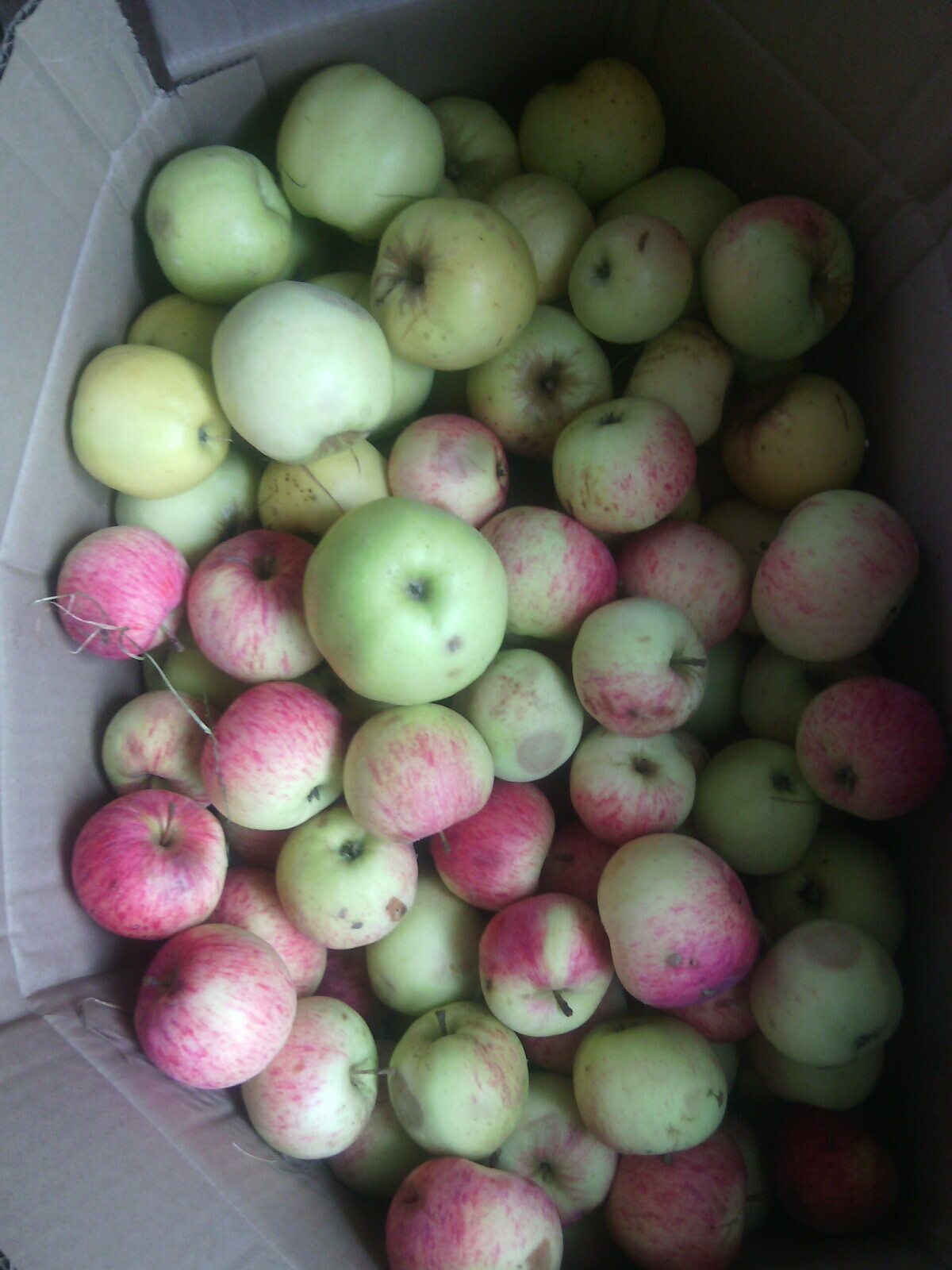 Лето припасиха, осень собериха, а зима подбериха.