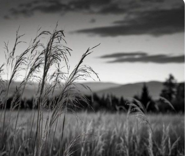 Что случилось с налогами и налогоавми ставками. Нововведения.