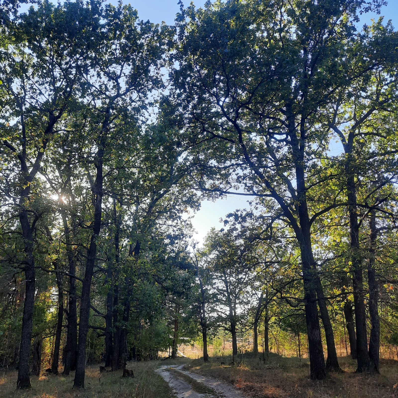 Мои неприятные ситуации с Вайлдбериз за сентябрь