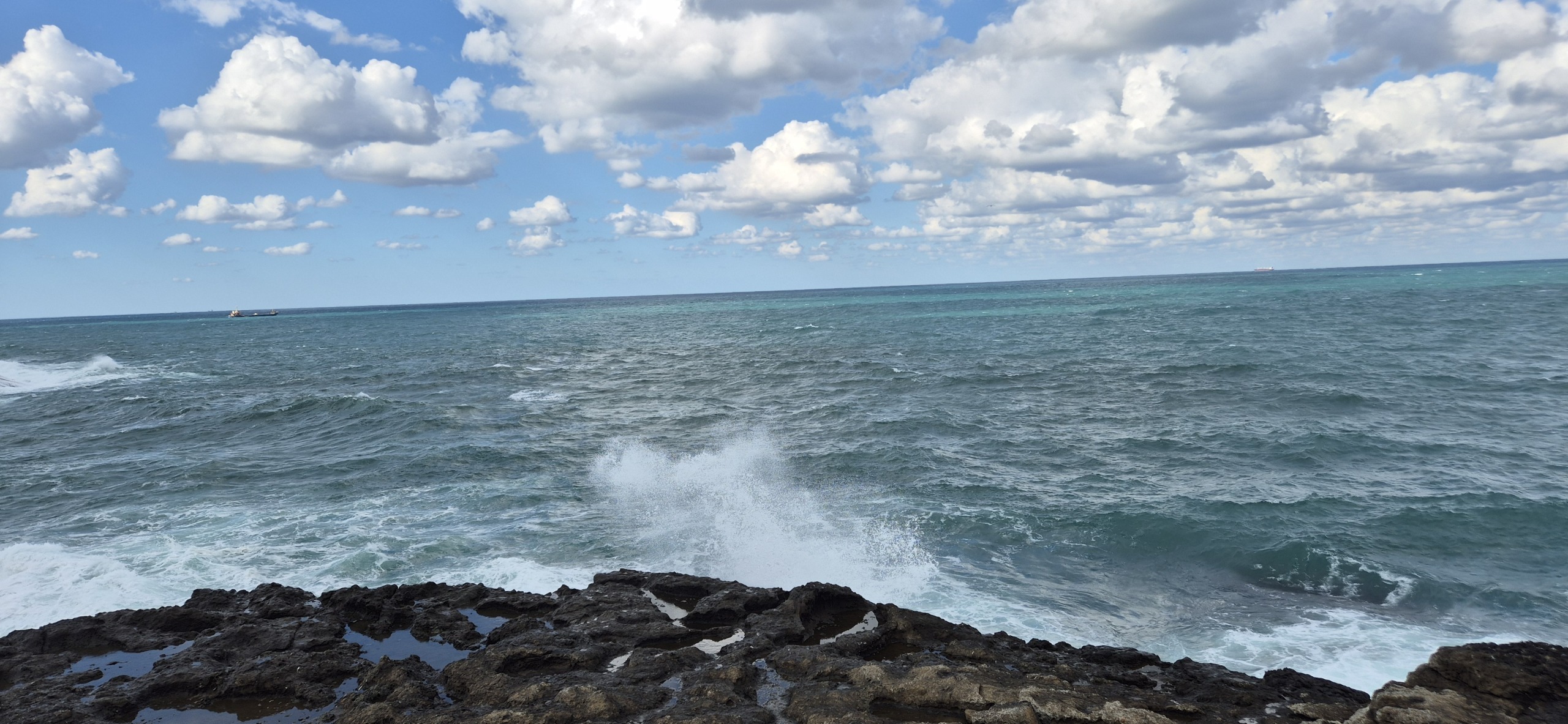 У Чёрного моря