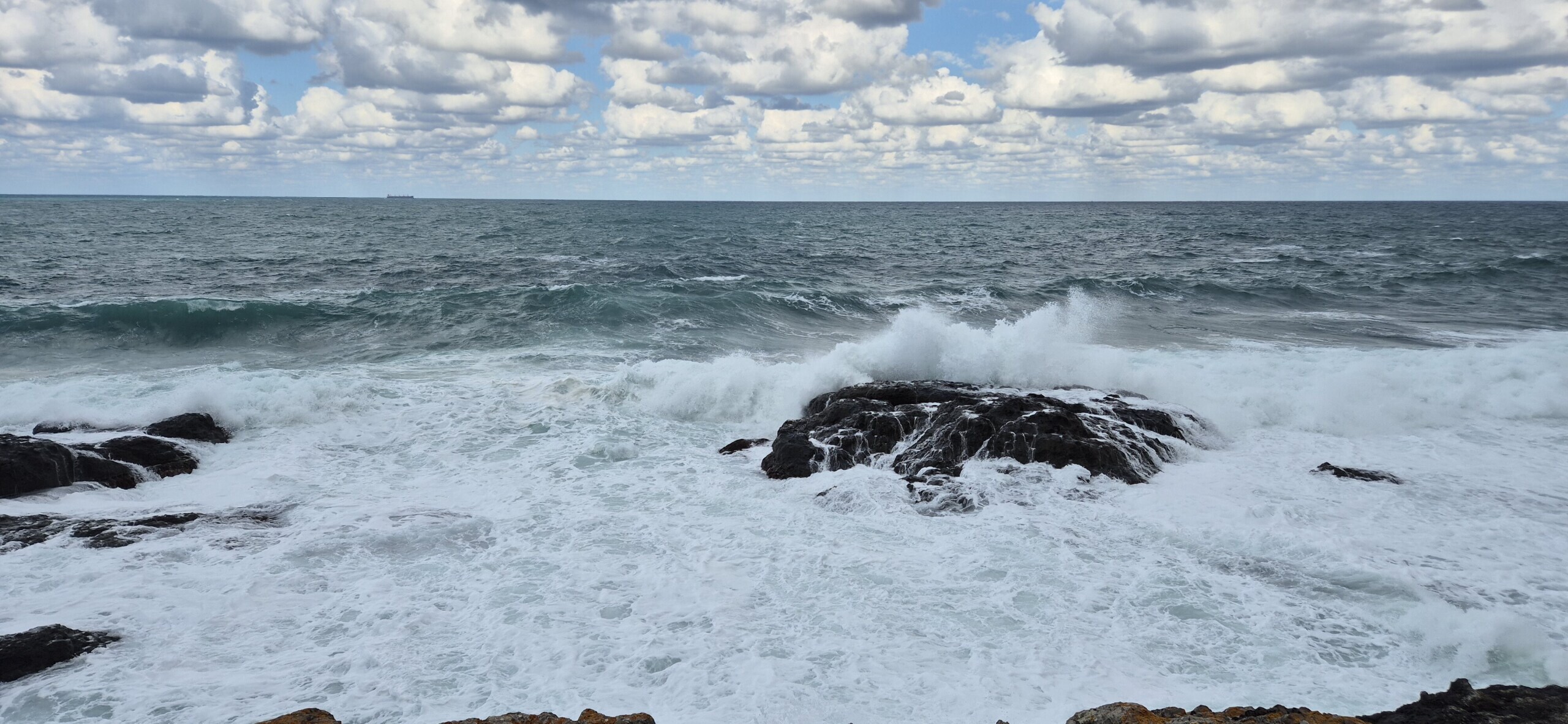 У Чёрного моря