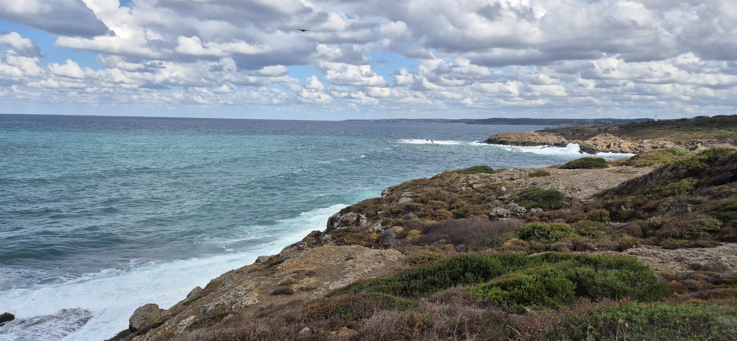 У Чёрного моря