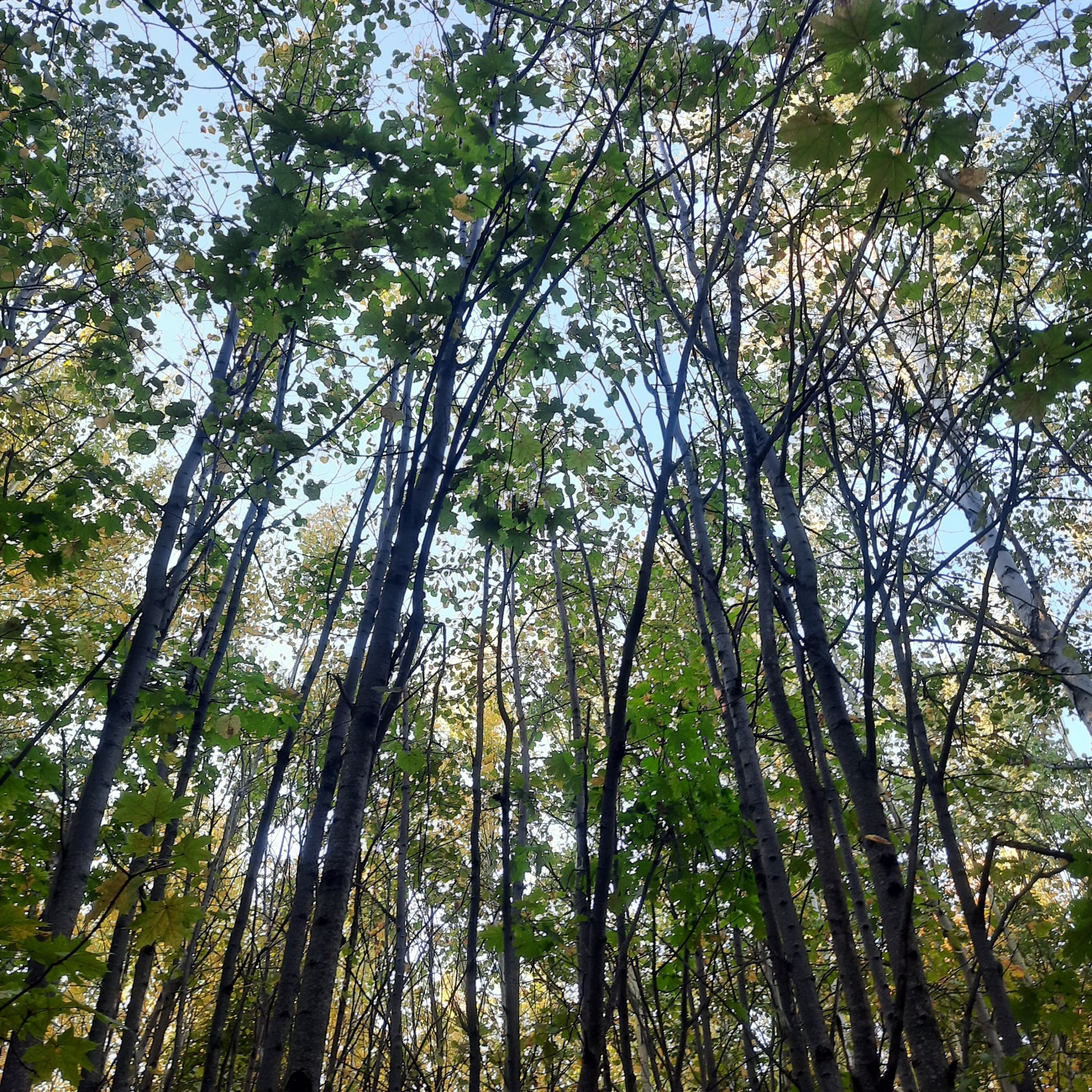 Мои неприятные ситуации с Вайлдбериз за сентябрь