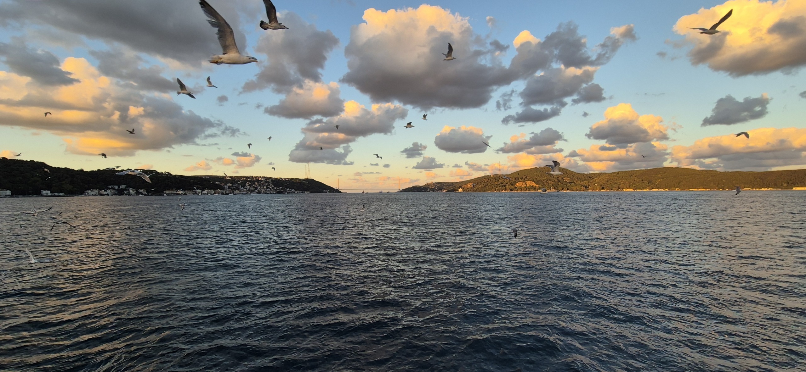 У Чёрного моря