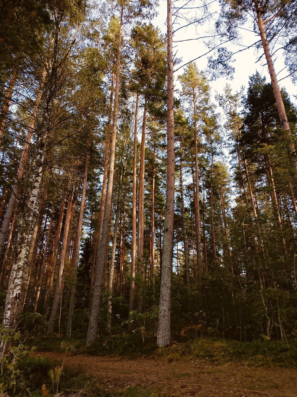 Почему нельзя нравиться всем?