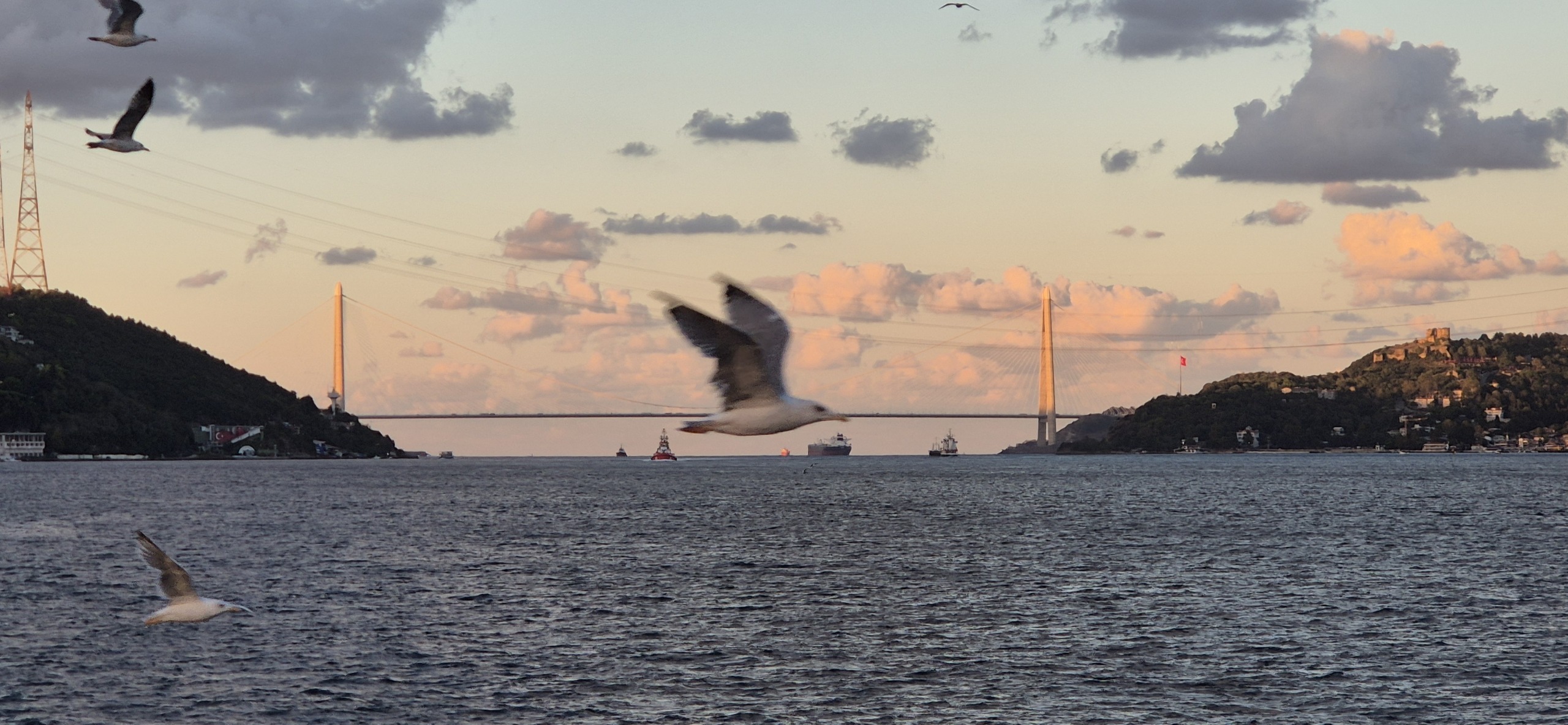 У Чёрного моря