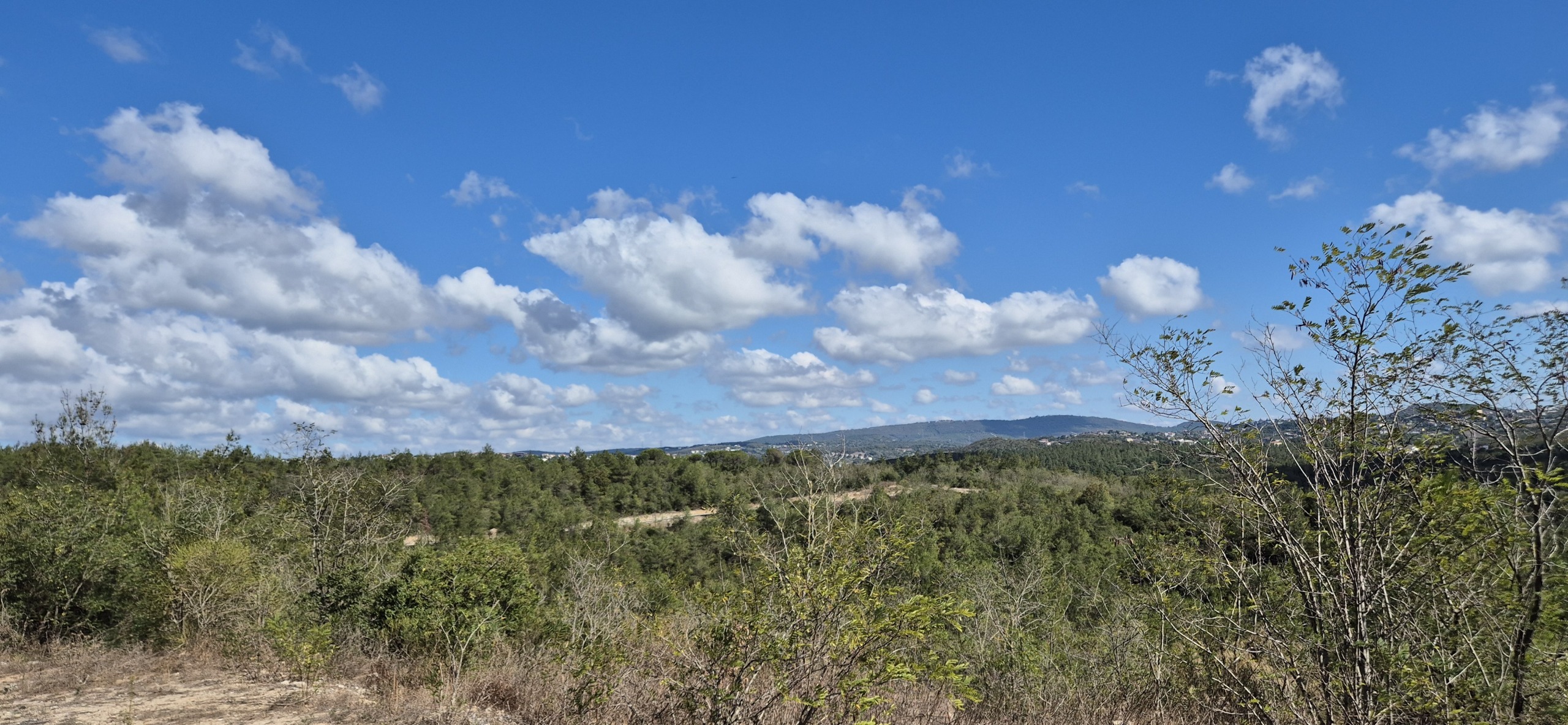 Парк около Family Garden Düğün Davet