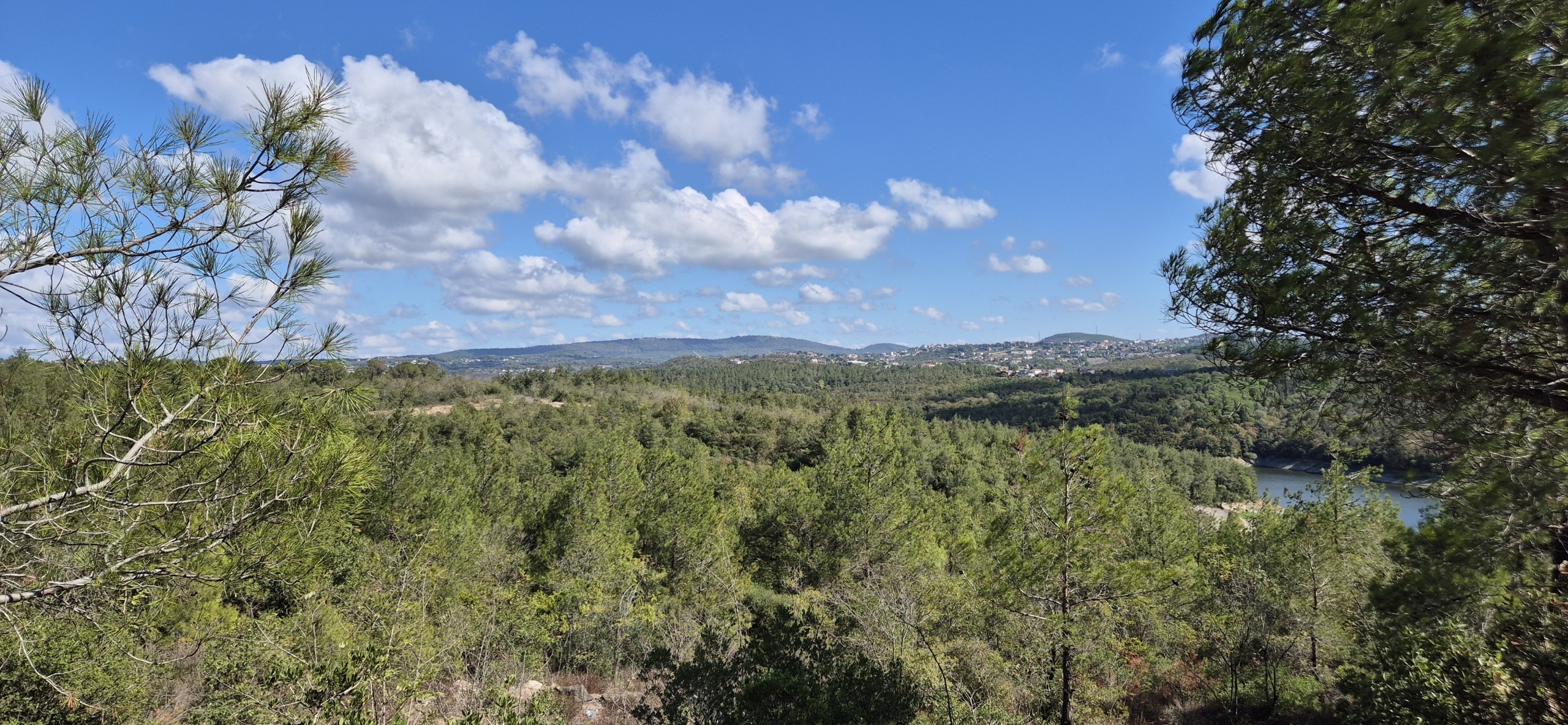 Парк около Family Garden Düğün Davet