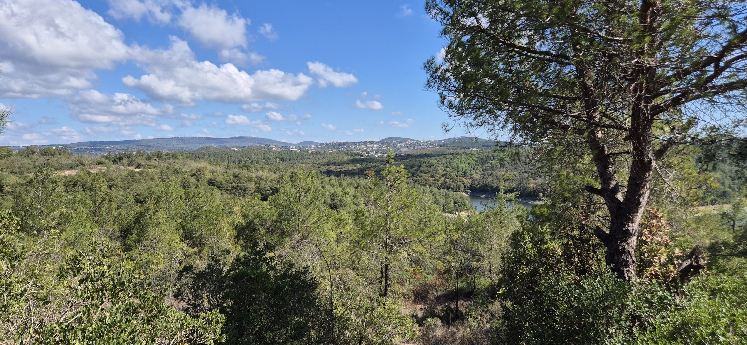 Парк около Family Garden Düğün Davet