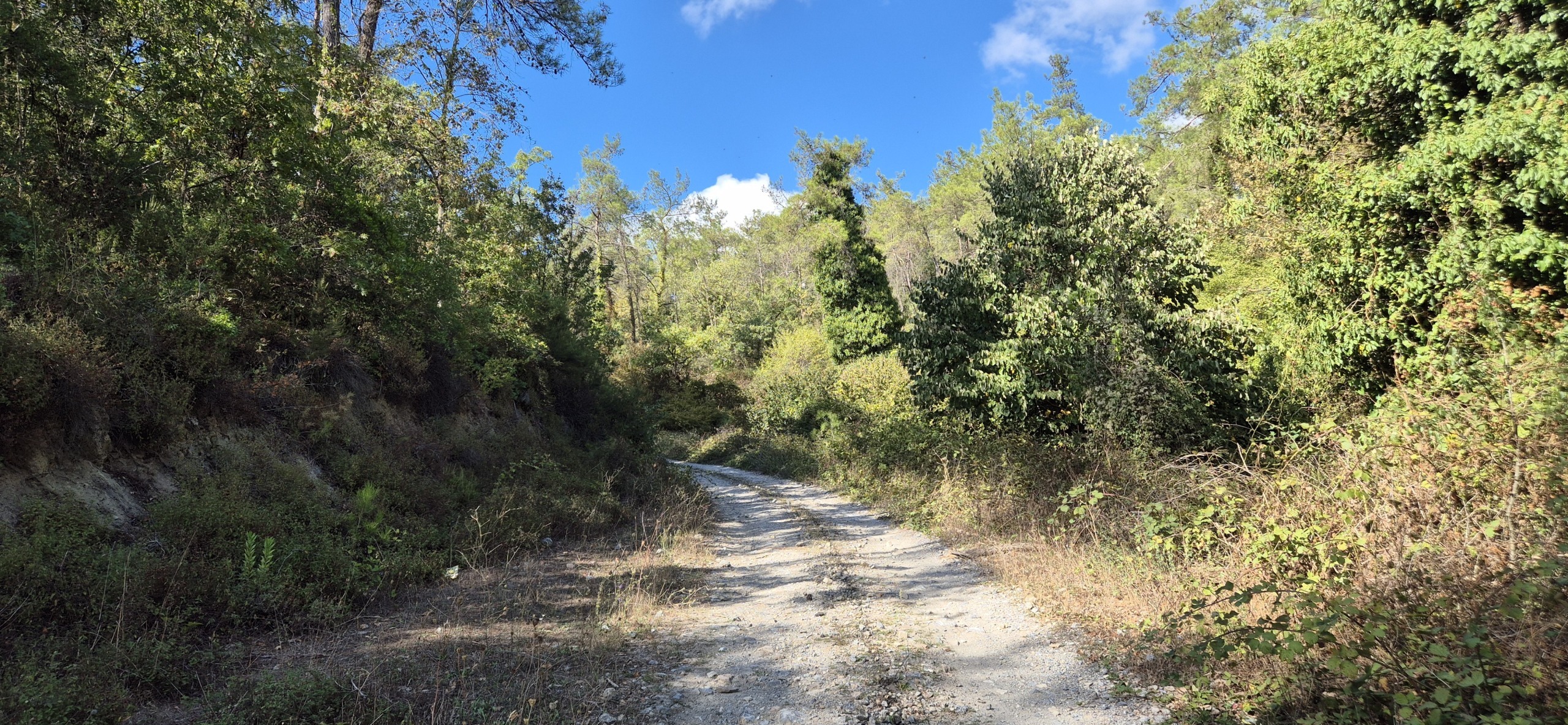 Парк около Family Garden Düğün Davet