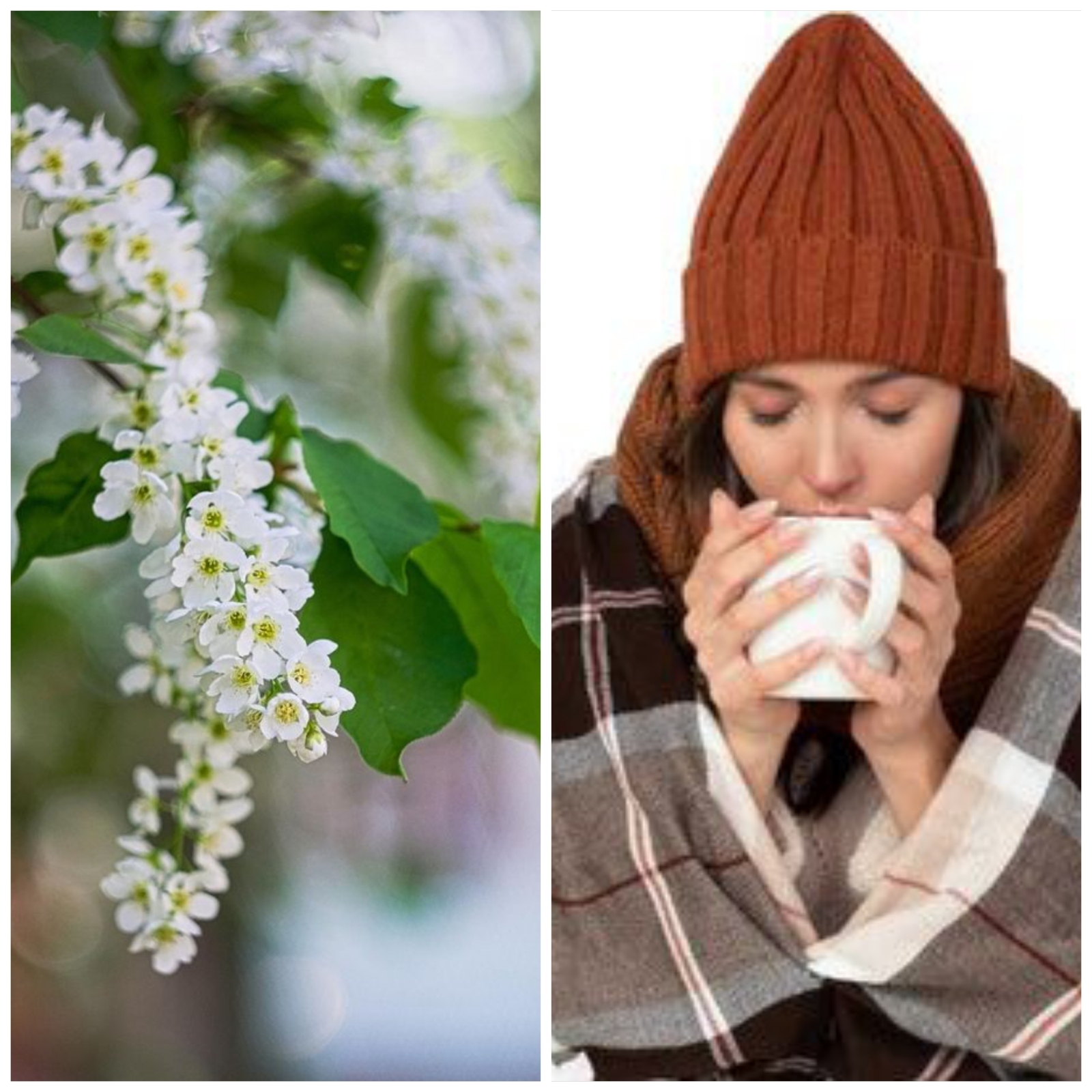 Прогноз погоды по приметам