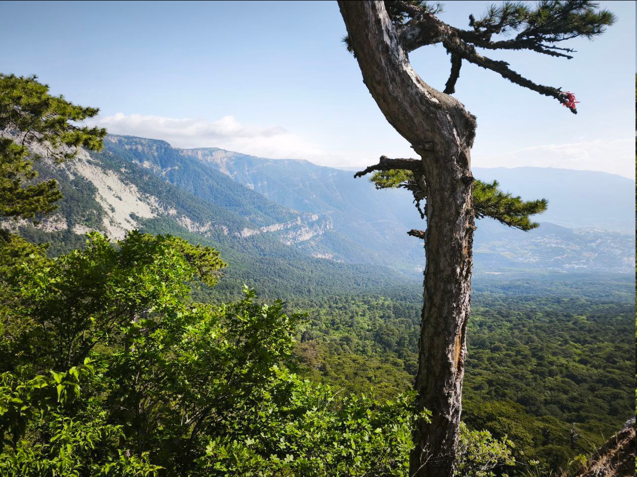 Отпуск в Ялте. Гора Ай-Петри и Ласточкино Гнездо
