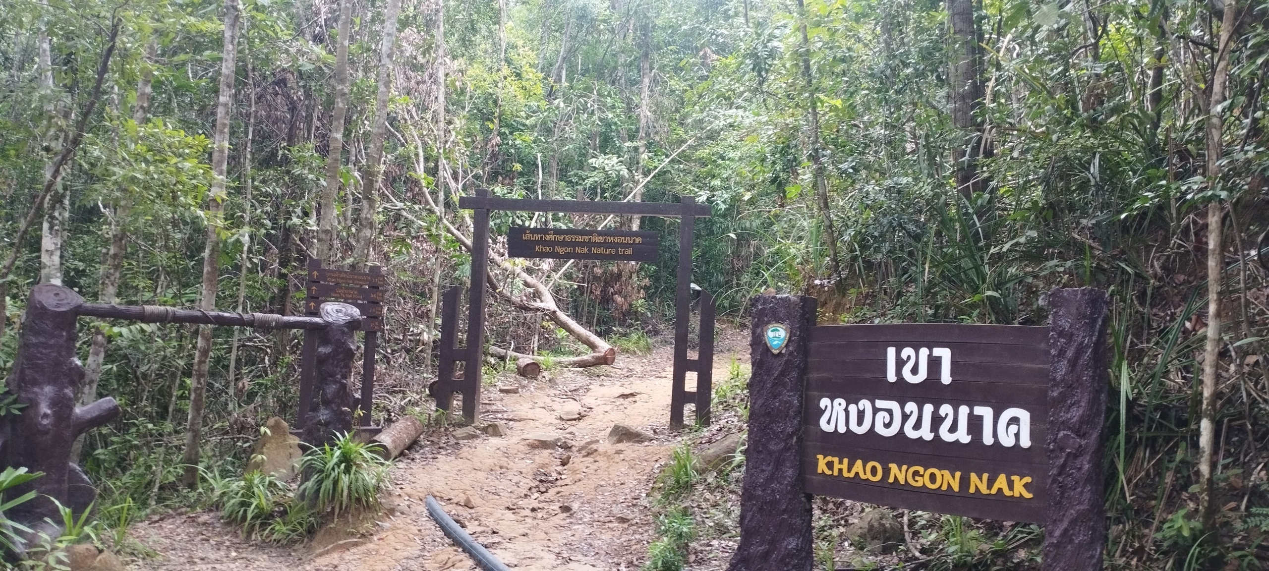 Путешествие пенсионеров в Таиланде