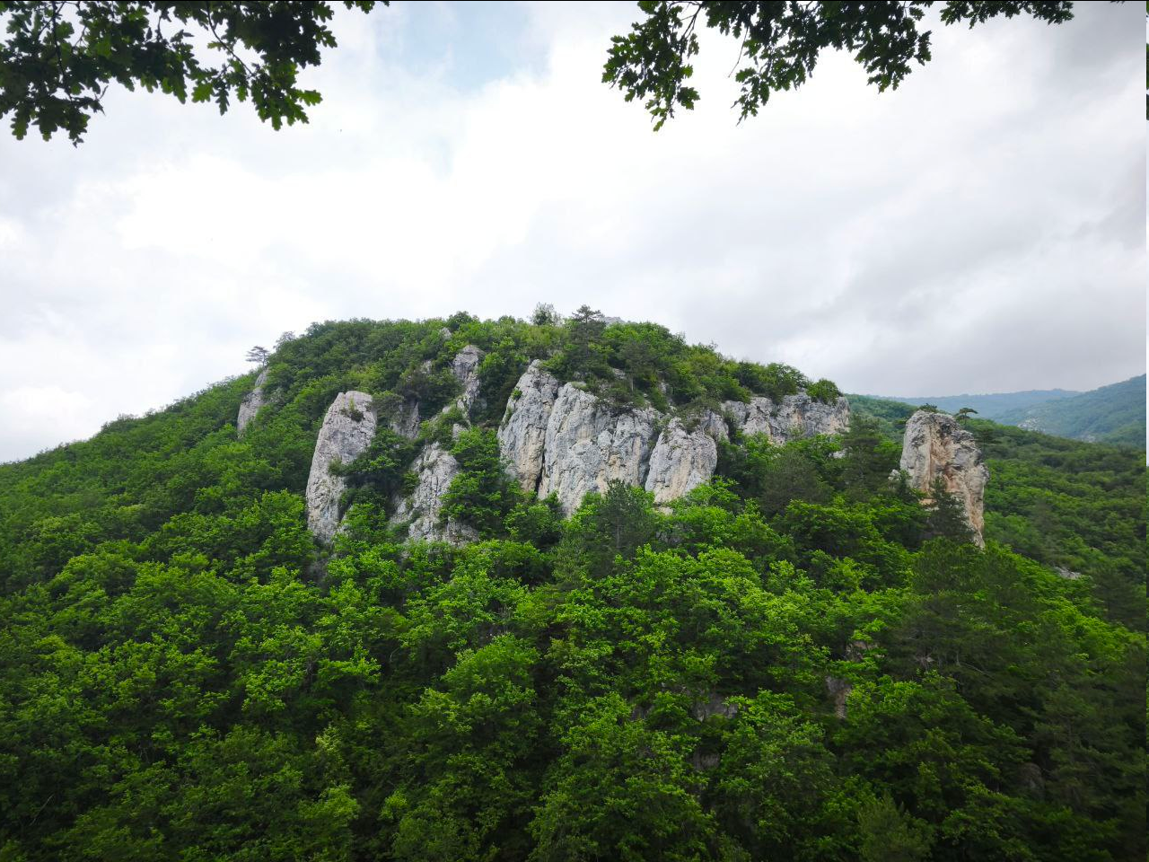 Отпуск в Ялте. Гора Ай-Петри и Ласточкино Гнездо