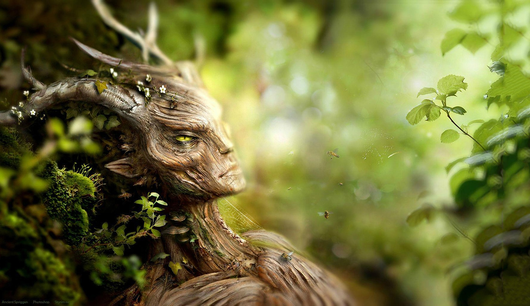 О сознании животных и растений. Новое открытие в учении дона Хуана / Карлоса Кастанеды!