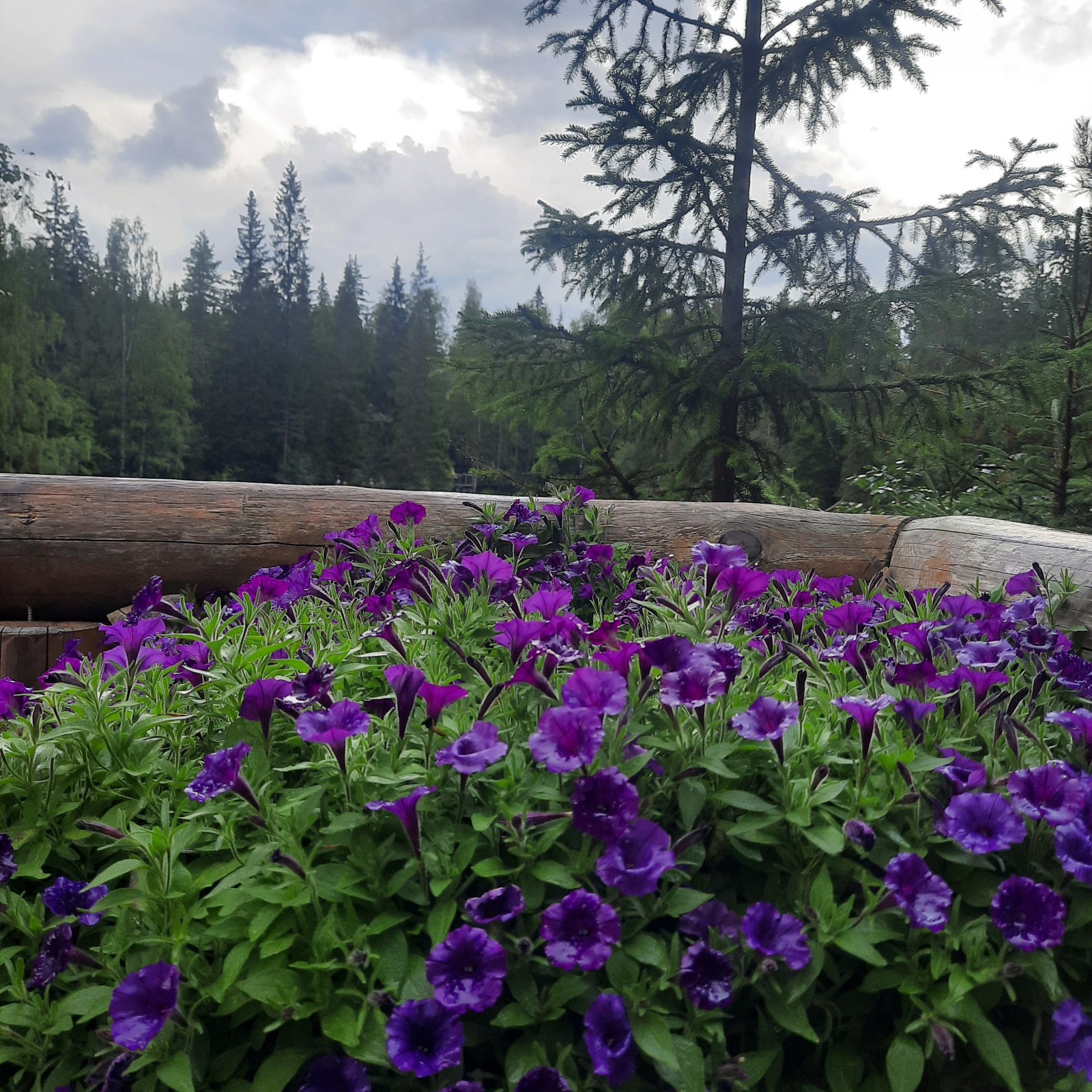 СберСпасибо разочаровывает. Как я попрощалась со Сбербанком