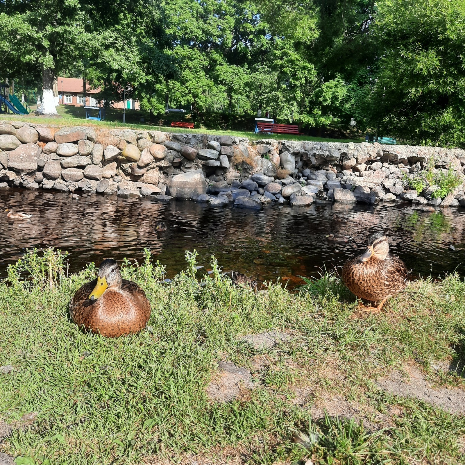 Постучалась в дом Альфа выгода. Или мой первый месяц с Альфа банком