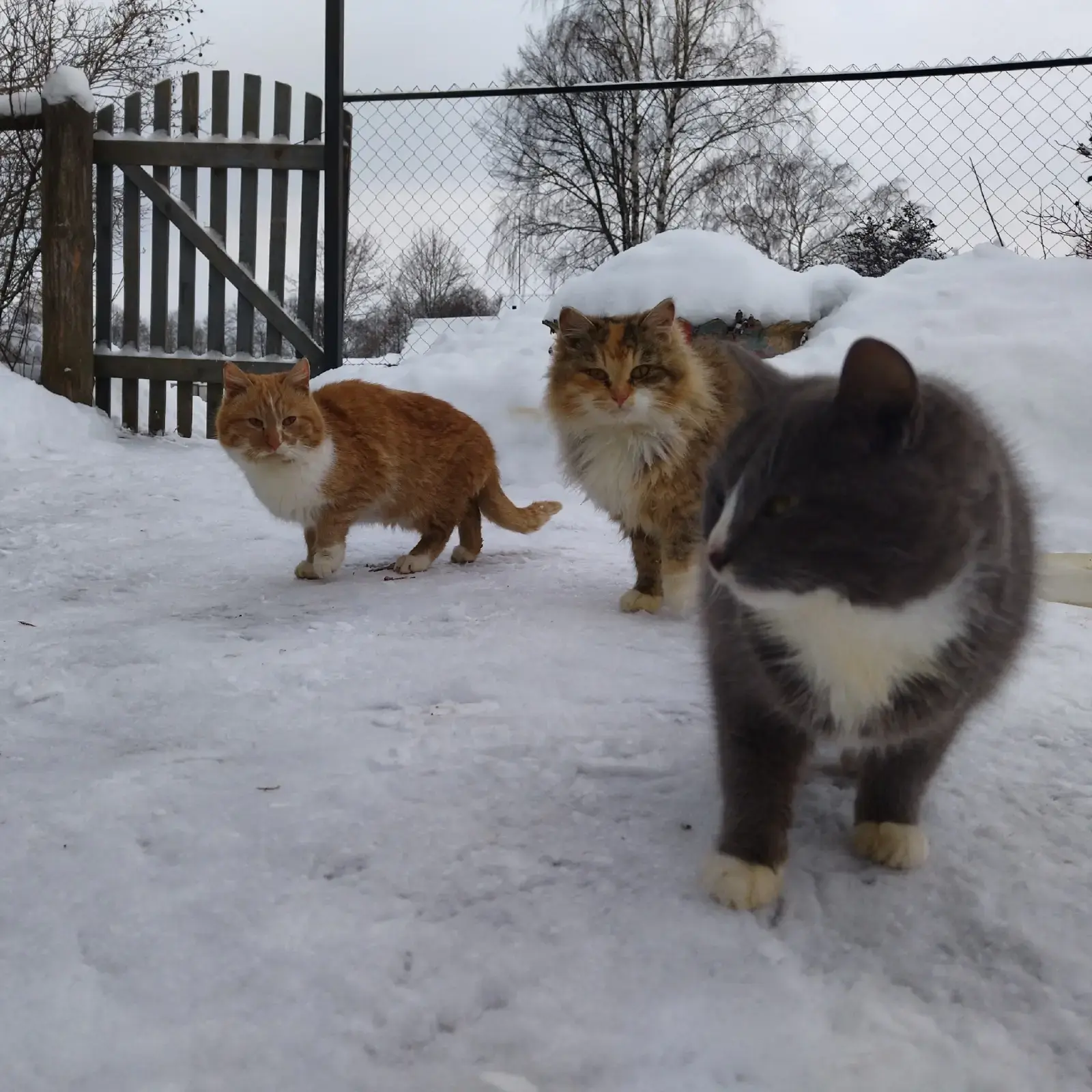 Как перестать сравнивать себя с другими?