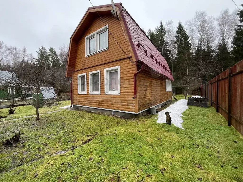 Самый неблагодарный клиент в моей юридической практике