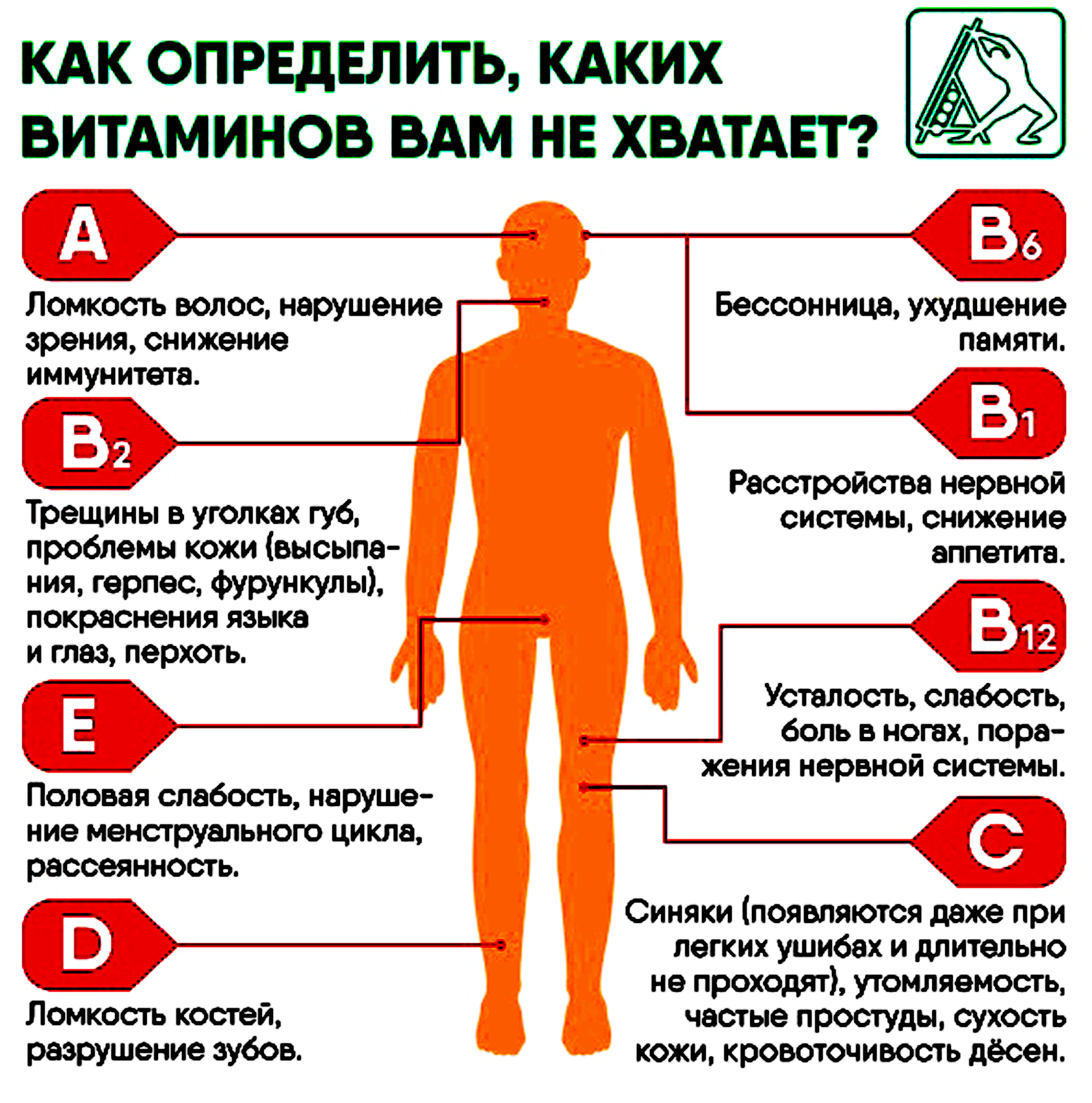 Как грамотно организовать восстановление-очищение-оздоровление своего организма без всяких денежных затрат - без бадов и лекарств!