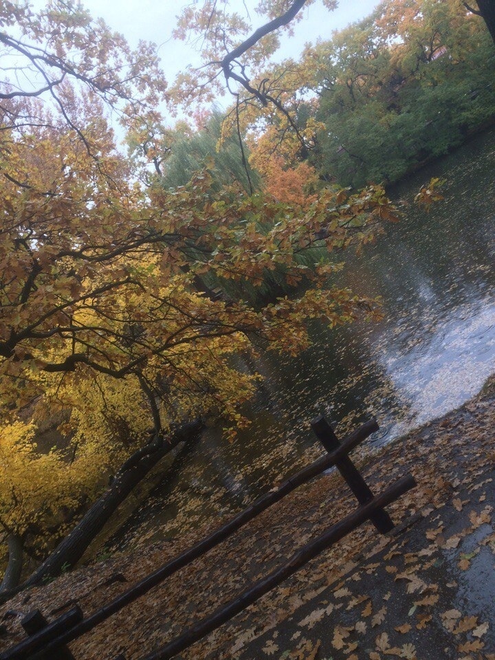 Я продолжаю жить по законам СССР.А Вы?