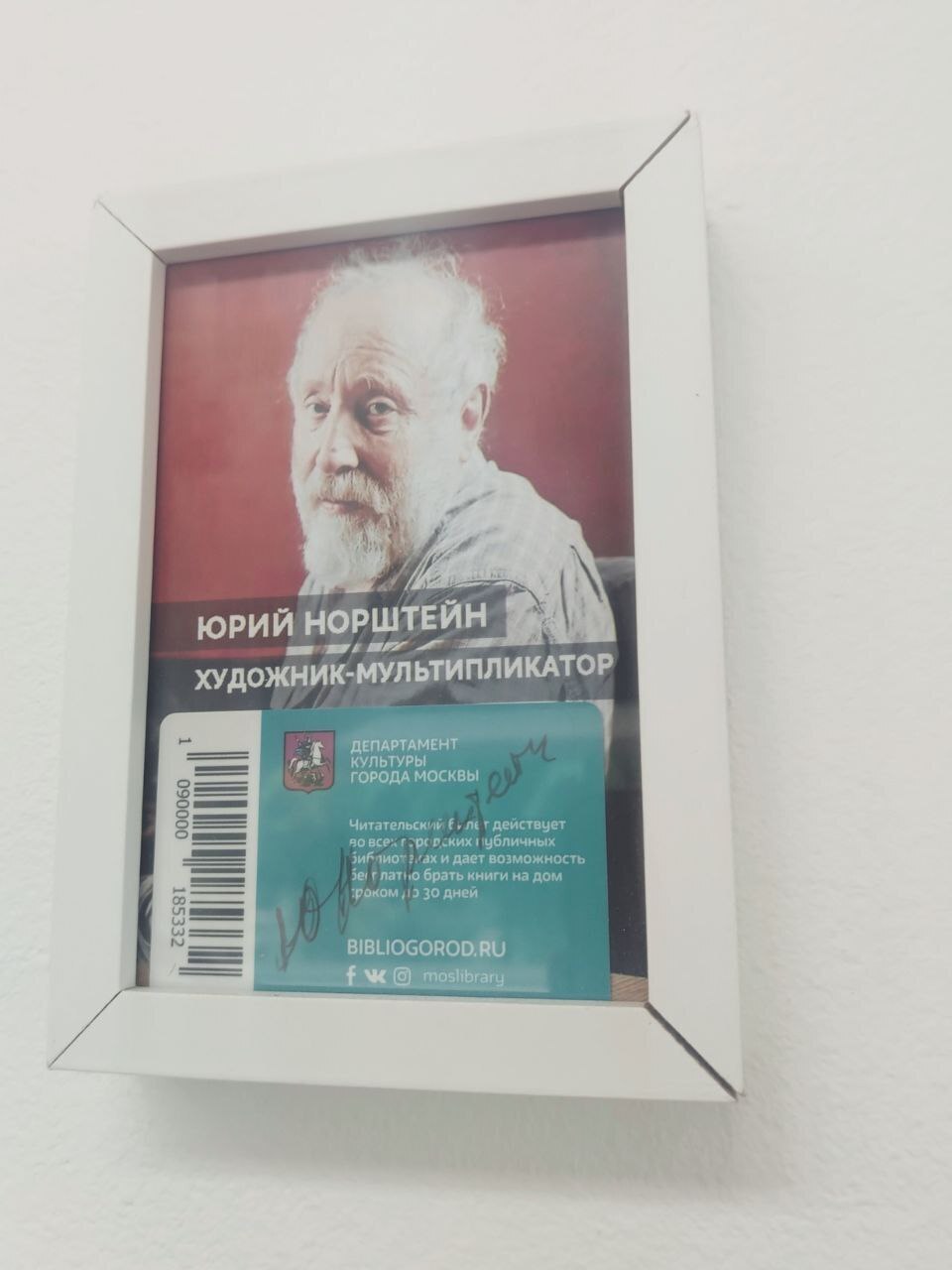 🖌️ Тепло бетона и свет листвы: выставка, которая влюбляет в себя