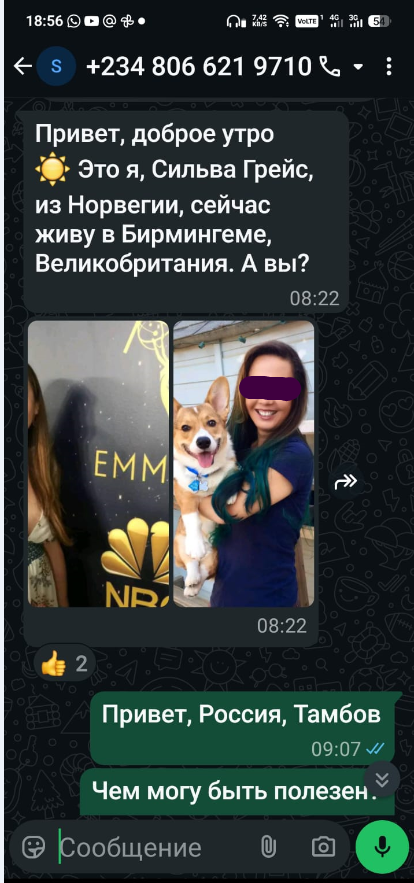 Как меня пытались развести мошенники