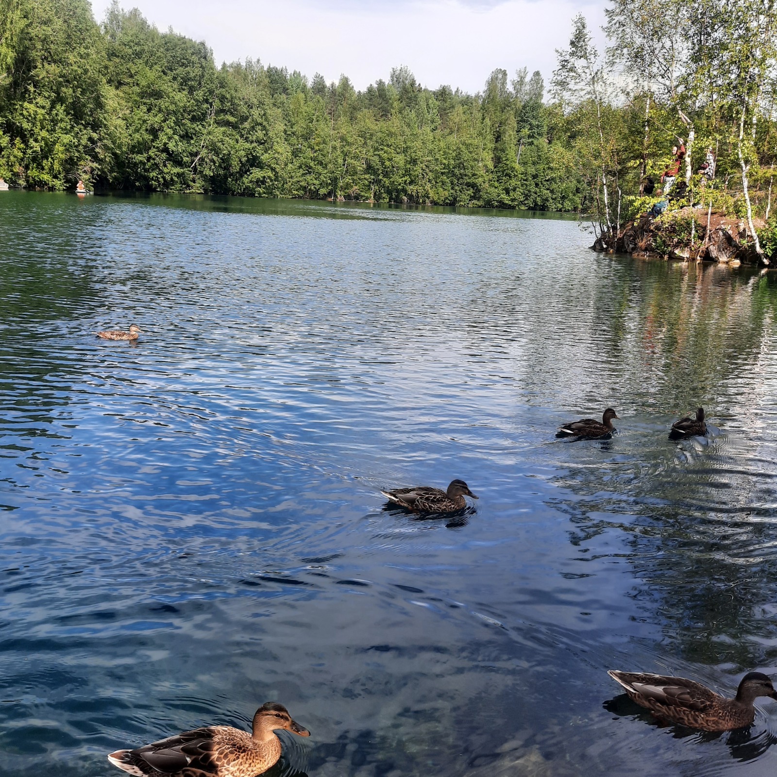 Экономия на аптеке. Или бонусная программа Аптеки Плюс.