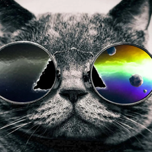 Елгин Николай Николаевич, г. Новосибирск