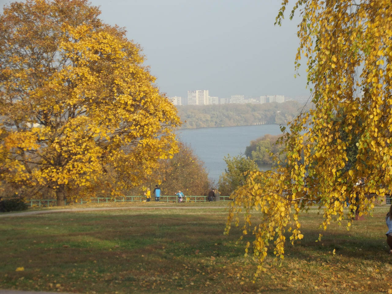 Әуесқойлық секс видео орыс тілінде