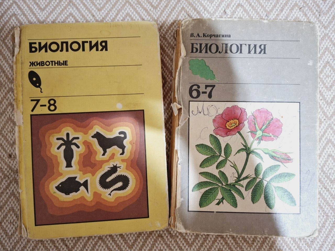 Продажи на Авито за Сентябрь 2025 г: хорошо продавались осенние вещи