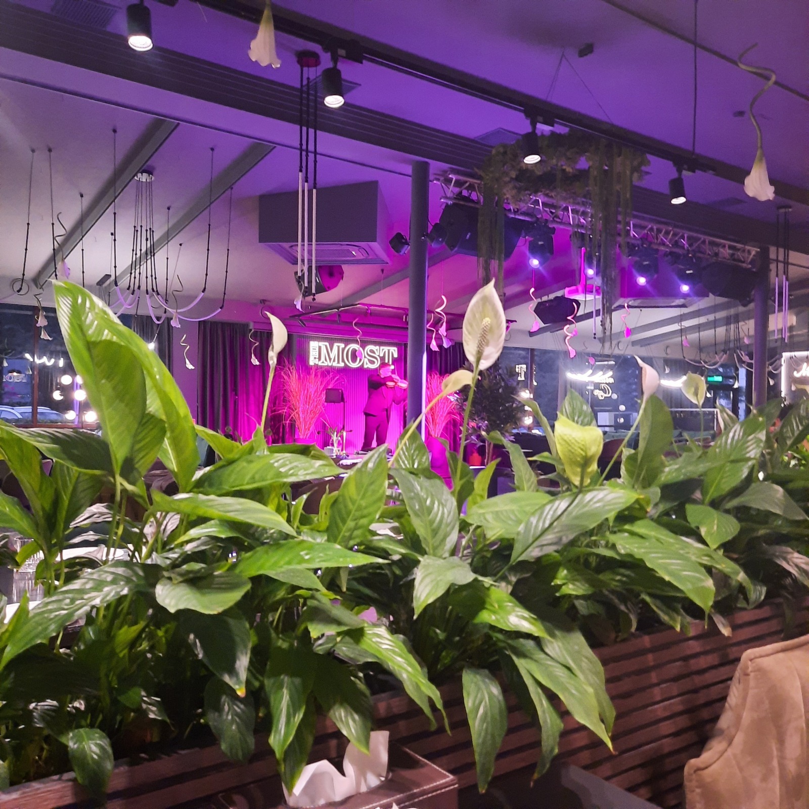 Вайлдбериз-клуб – как отключить подписку, которую я не подключала?