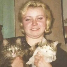 Лари, г. Москва