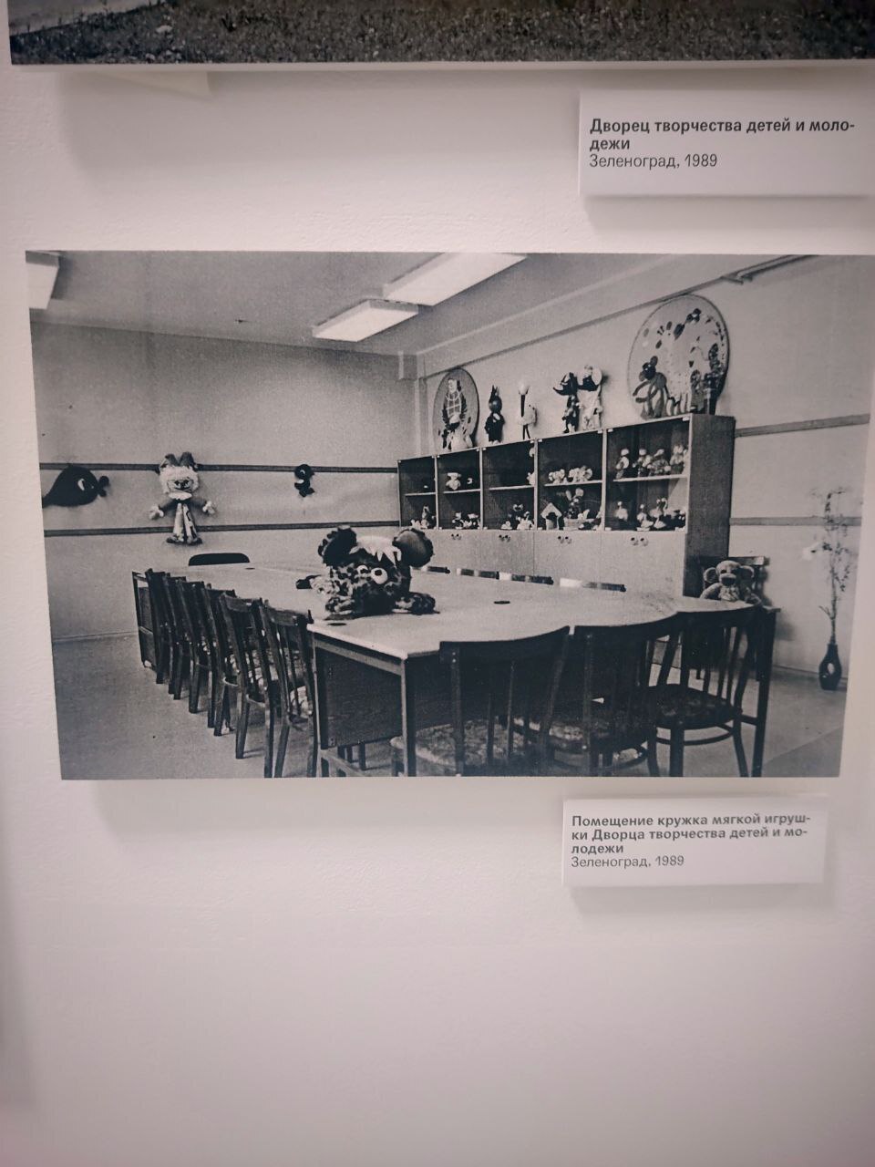 🧸 Где живёт детство: выставка «Детский мир» в Зеленограде