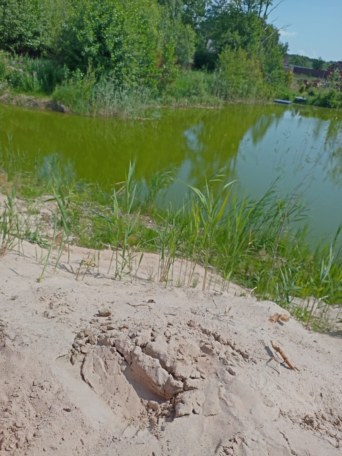 Как говорить "нет" без угрызения совести?