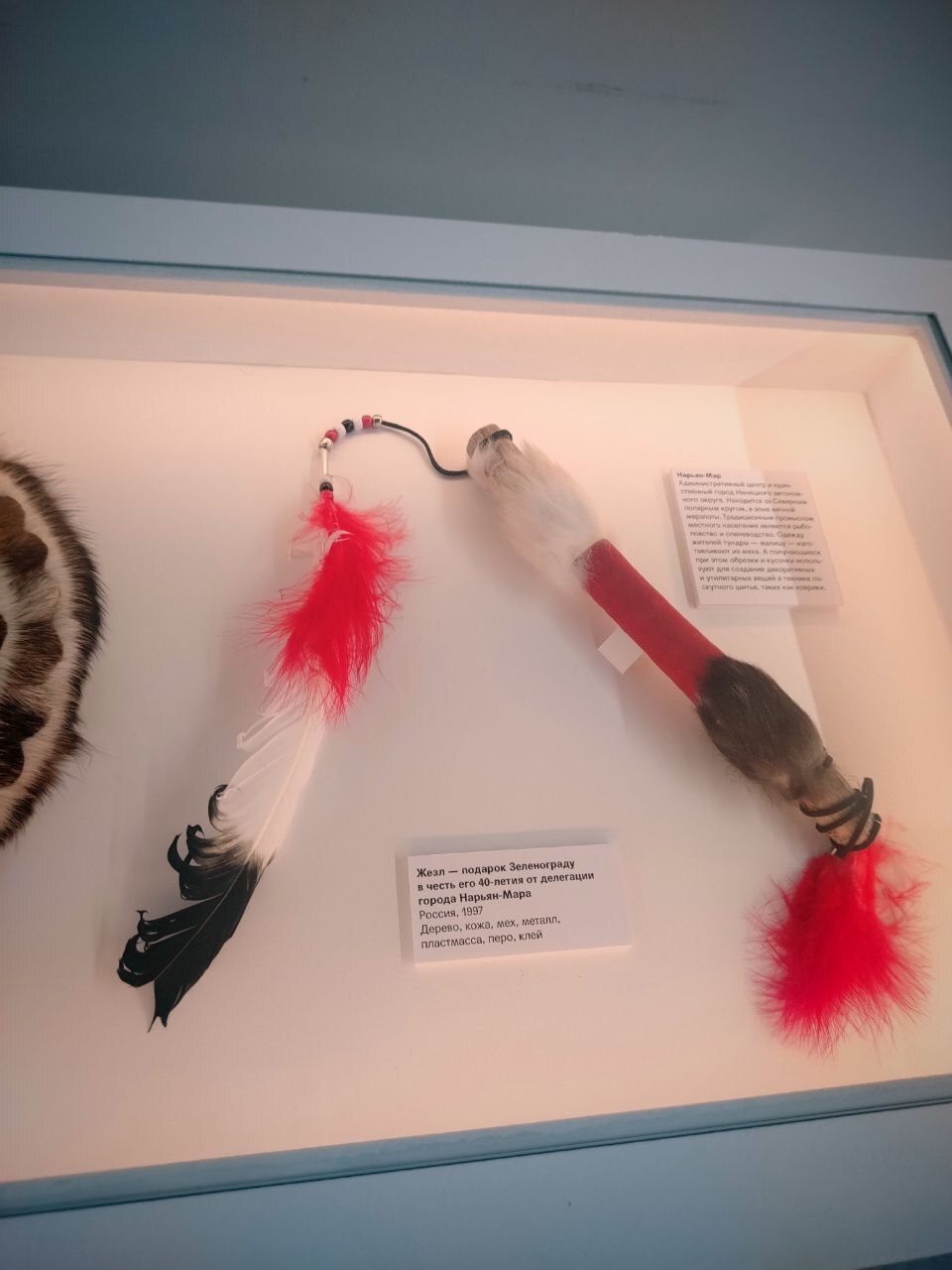 Что скрывает Музей Зеленограда: редкие экспонаты и неожиданные истории