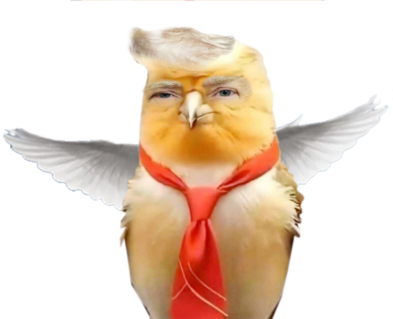 Всемирное позорище: Трамп не выклянчил премию мира