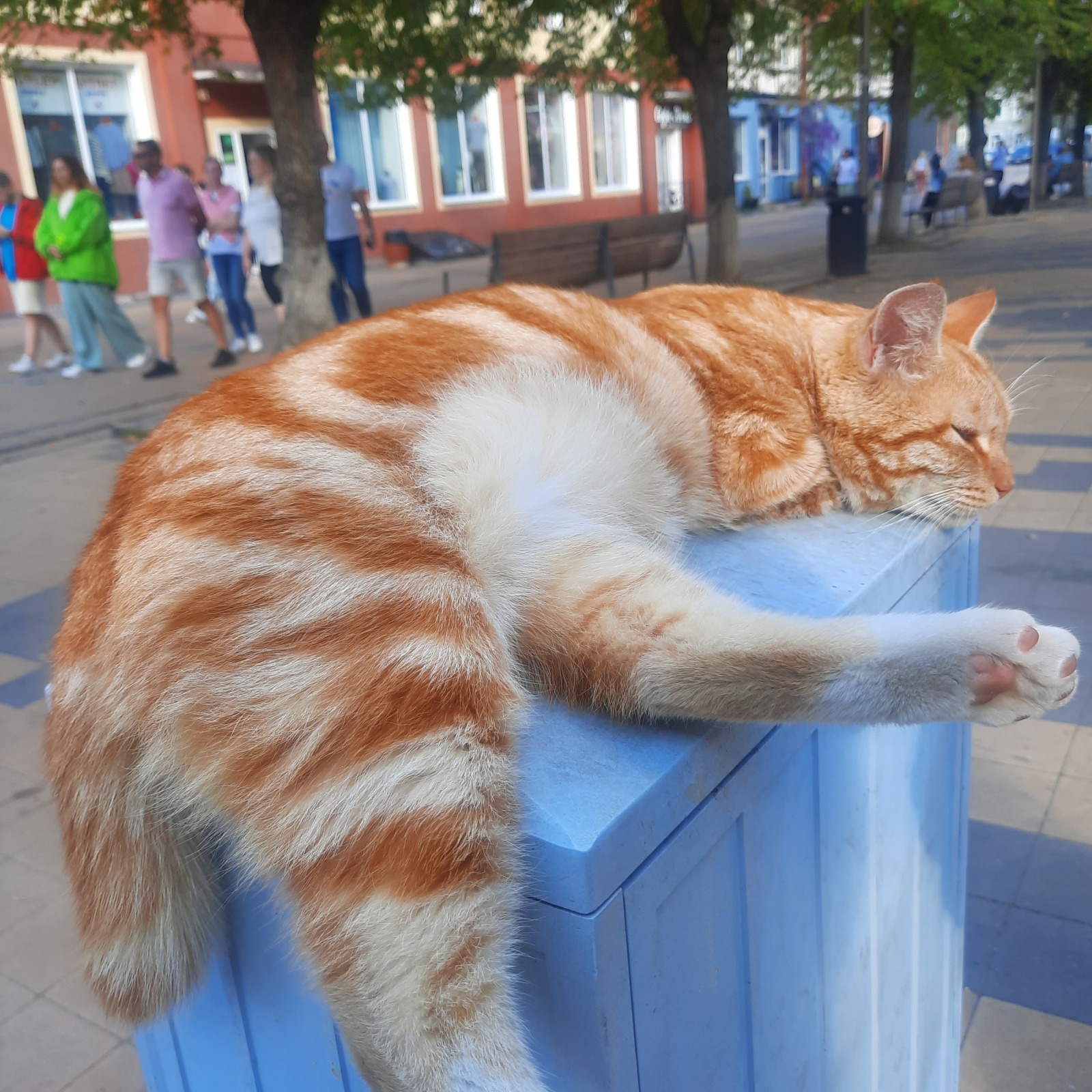 Налоговый вычет. За что можно вернуть деньги. Мой опыт.