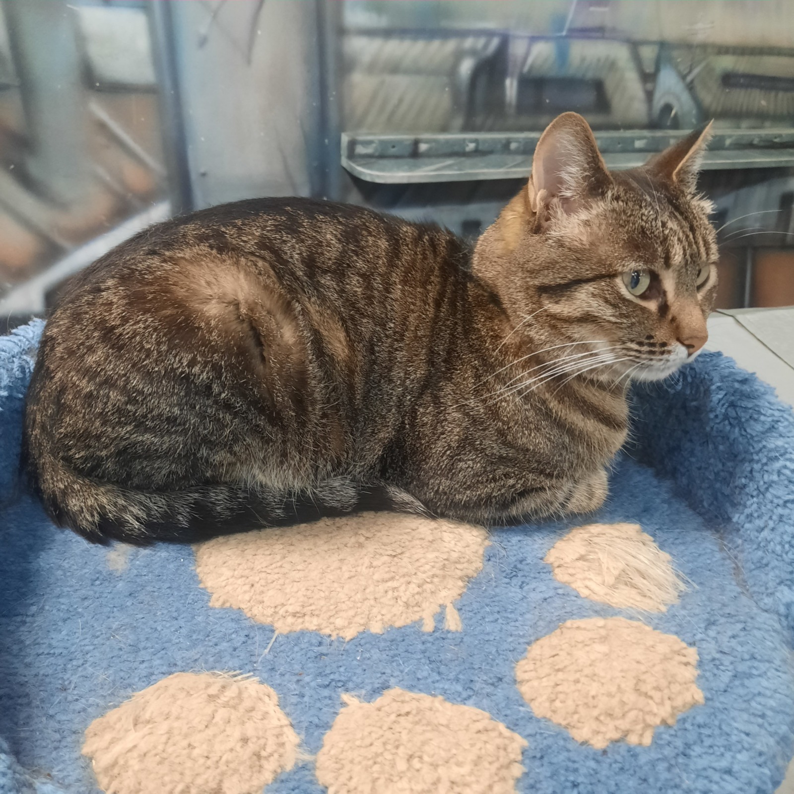 Моя поездка в Питер. Экскурсии и цены.