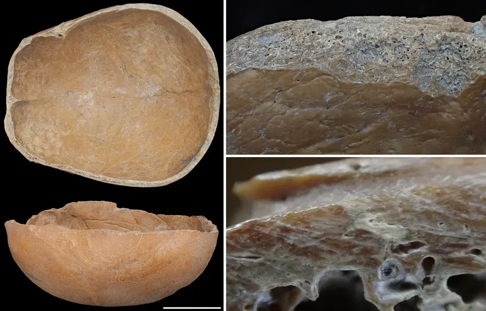 Ученые обнаружили в китайских каналах древние чаши и маски из человеческих черепов