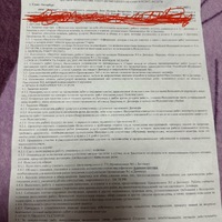 IMG_5153.jpeg