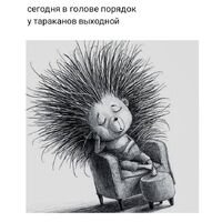 В ГОЛОВЕ ПОРЯДОК.jpg