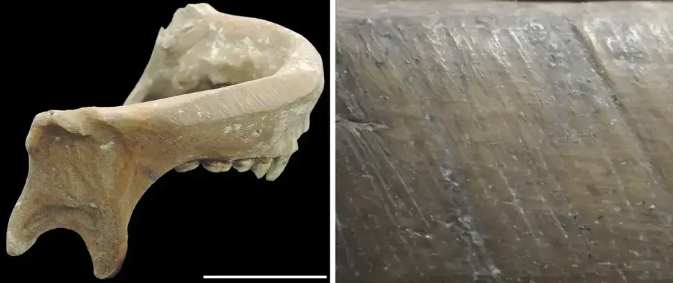 Ученые обнаружили в китайских каналах древние чаши и маски из человеческих черепов