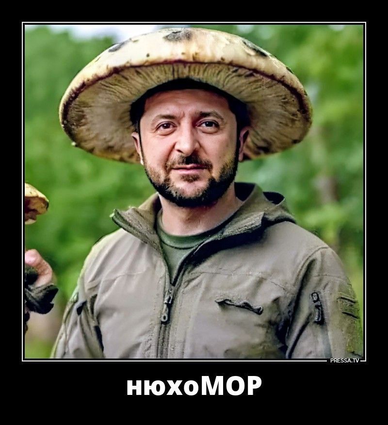 Весёлые картинки про Трампа и Украину