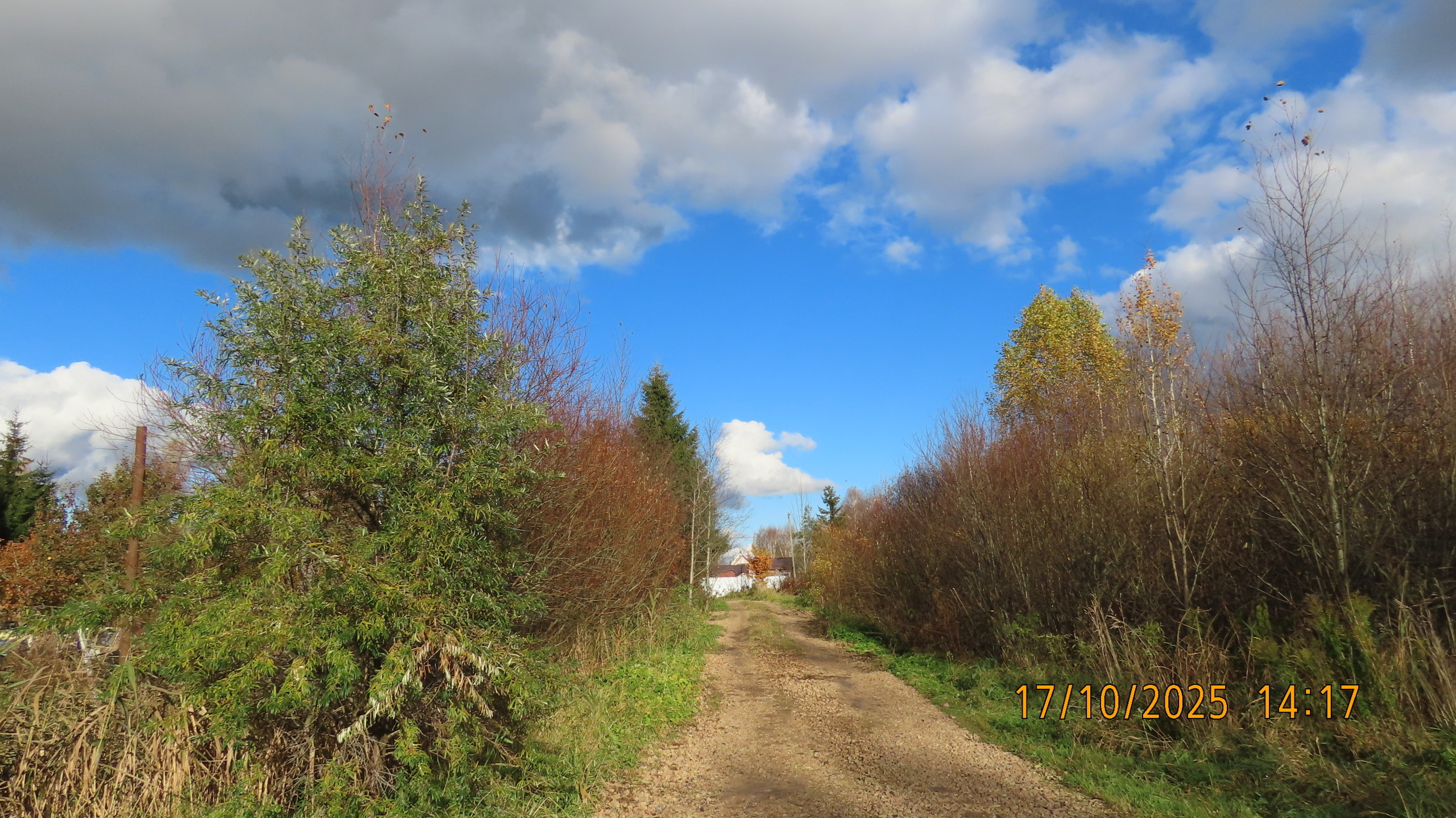 Праведный садовод из Вологды. Сказка.