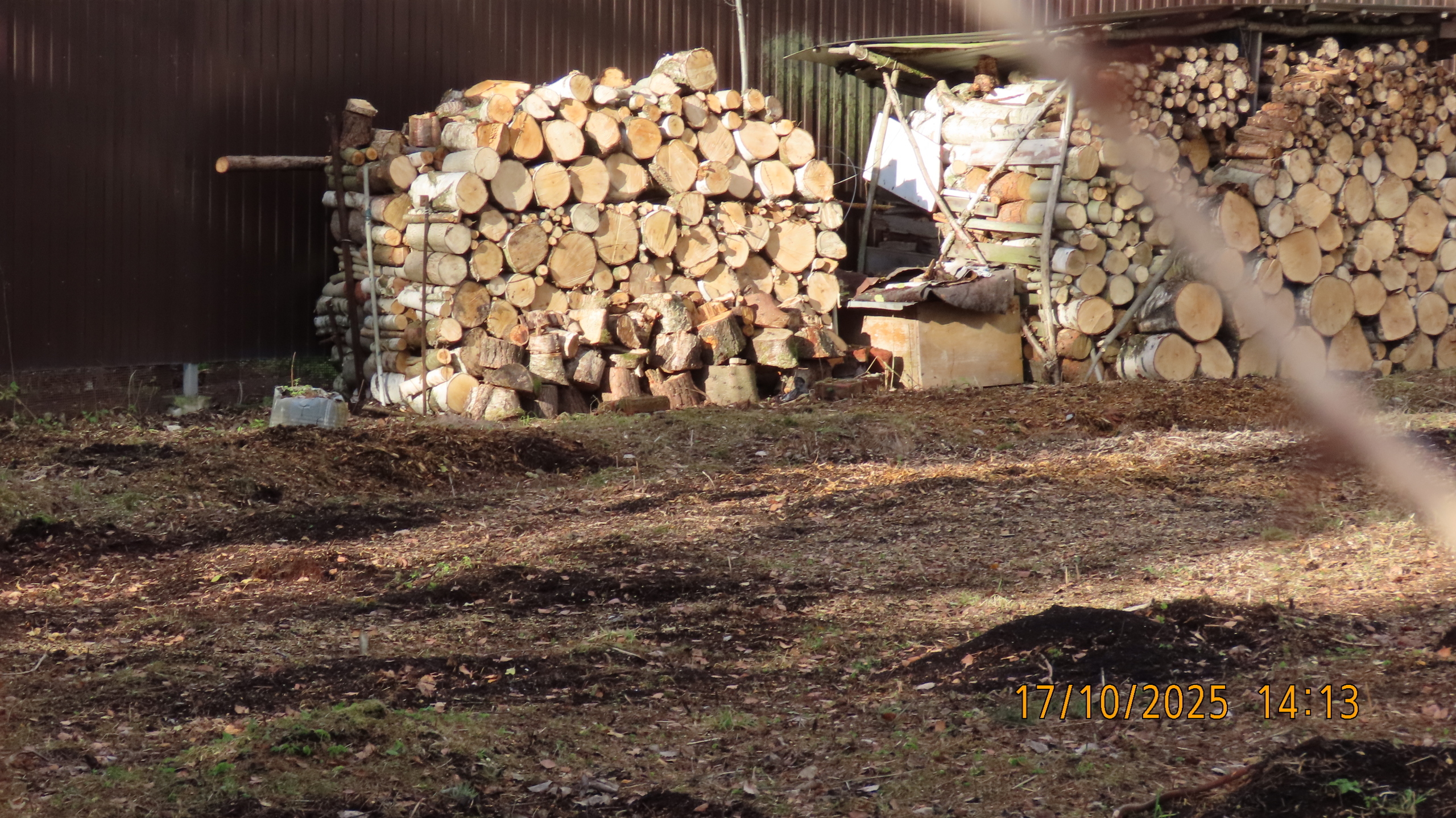 Праведный садовод из Вологды. Сказка.