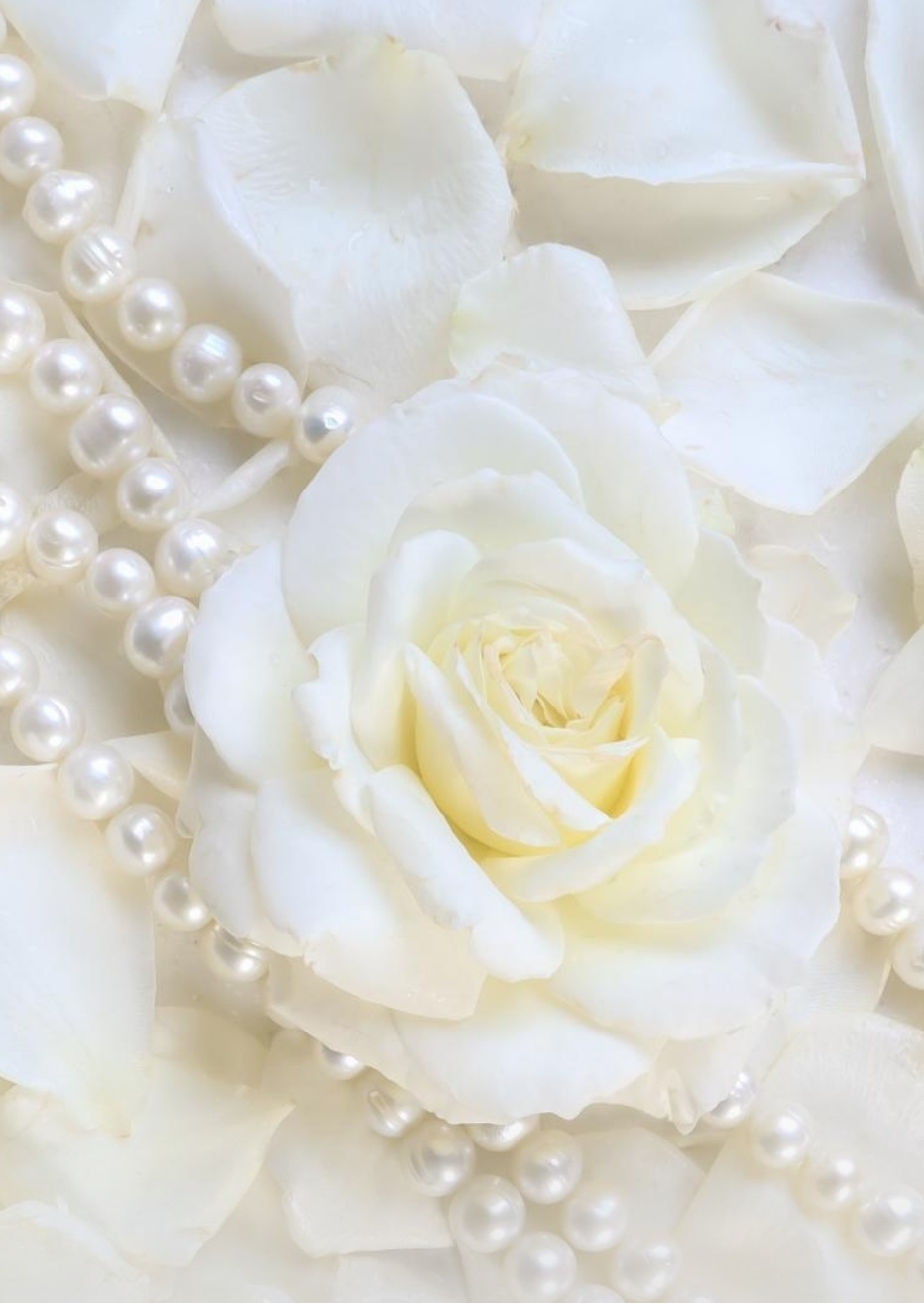 Возврат подарка: последствия отказа в возврате подарка после ссоры