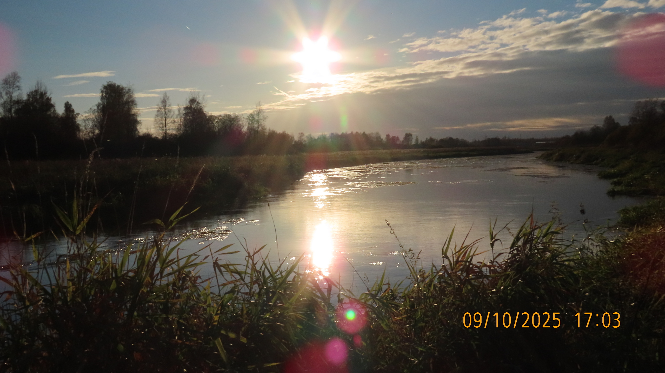 Меня бесит, когда заставляют говорить: «Меня бесит». /Не резистор.